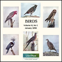 Birds, Vol. III, No 1, January 1898 - Poster