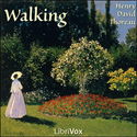 Walking - Poster