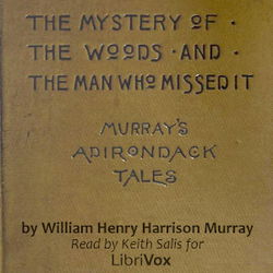 Murray's Adirondack Tales - Poster